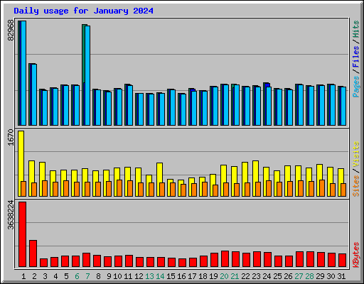 Daily usage for January 2024