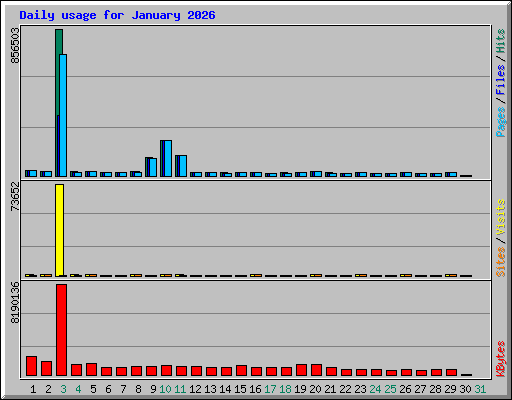 Daily usage for January 2026