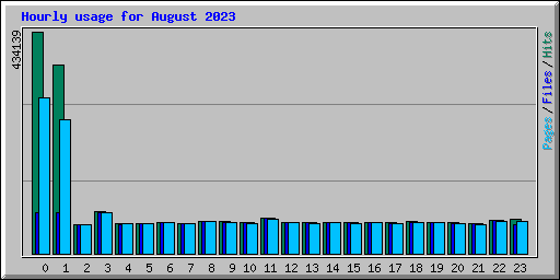 Hourly usage for August 2023