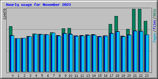 Hourly usage for November 2023