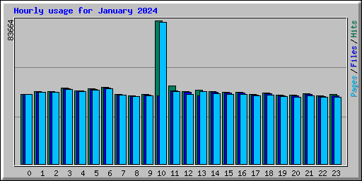 Hourly usage for January 2024