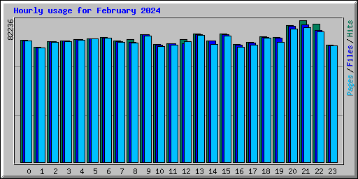 Hourly usage for February 2024