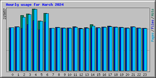 Hourly usage for March 2024