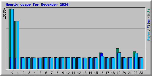 Hourly usage for December 2024