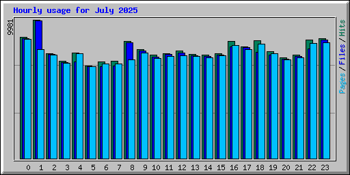 Hourly usage for July 2025