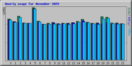 Hourly usage for November 2025