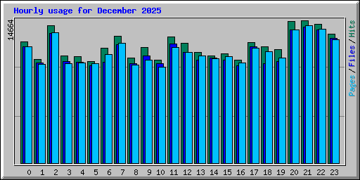 Hourly usage for December 2025
