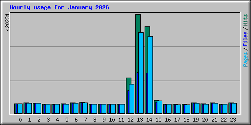 Hourly usage for January 2026
