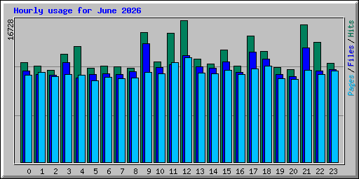 Hourly usage for June 2026